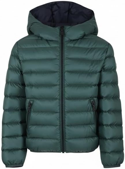 Pavo Monitor Arm installed on a modern office desk